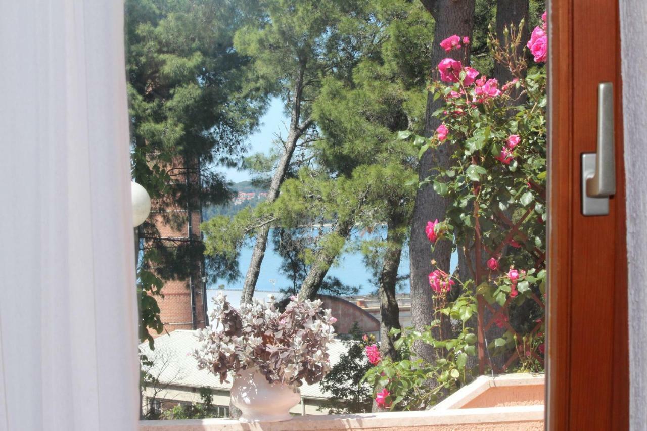 Apartments Villa Lucu Rovinj Værelse billede